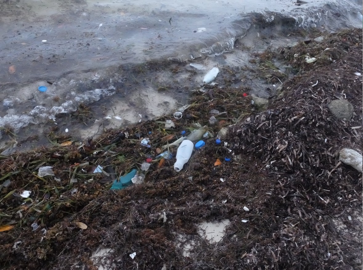 An Example of the Level of Plastic Pollution that Washes up on Shore Each Day